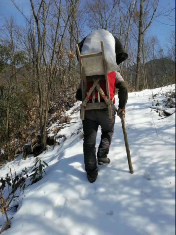 积雪尚未消融,这是大山里的村民们,背着箩筐,蹚水踏雪,一点点从山上背