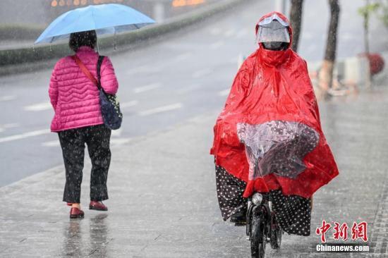 资料图：市民在雨中出行。中新社记者 陈骥旻 摄