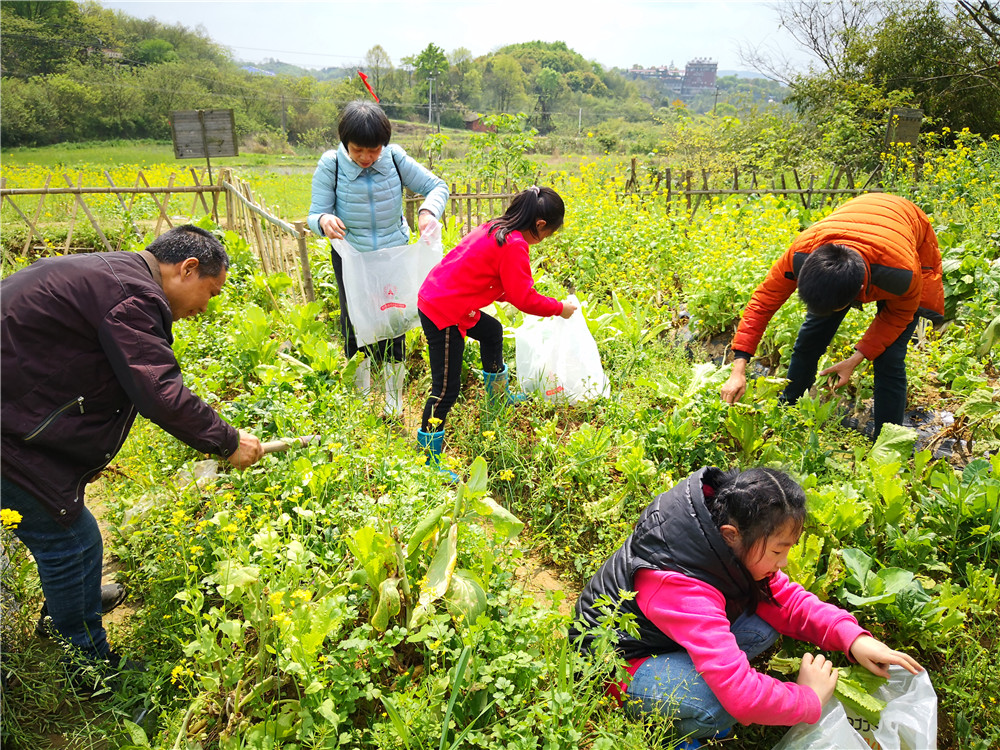 中国"城市农夫"欢乐开锄