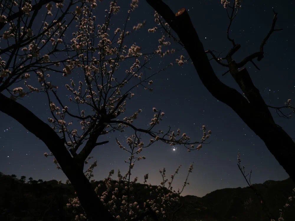 福田剥离宝沃聚焦商用车 今年第一季扭亏为盈