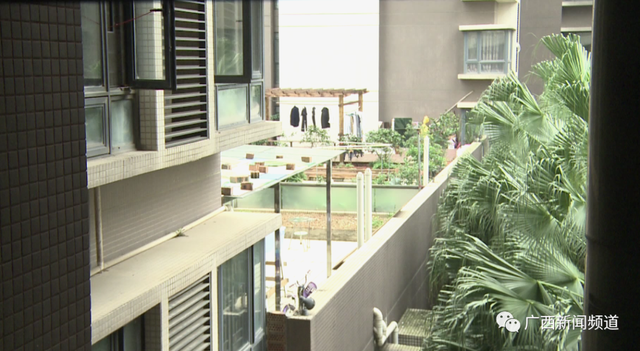 广西南宁一小区业主在楼层平台建农场邻居半夜听取蛙声一片