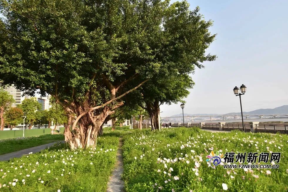 武汉2020人口数在全_2020年清明假日全国旅游接待总人数4325.4万人次,同比