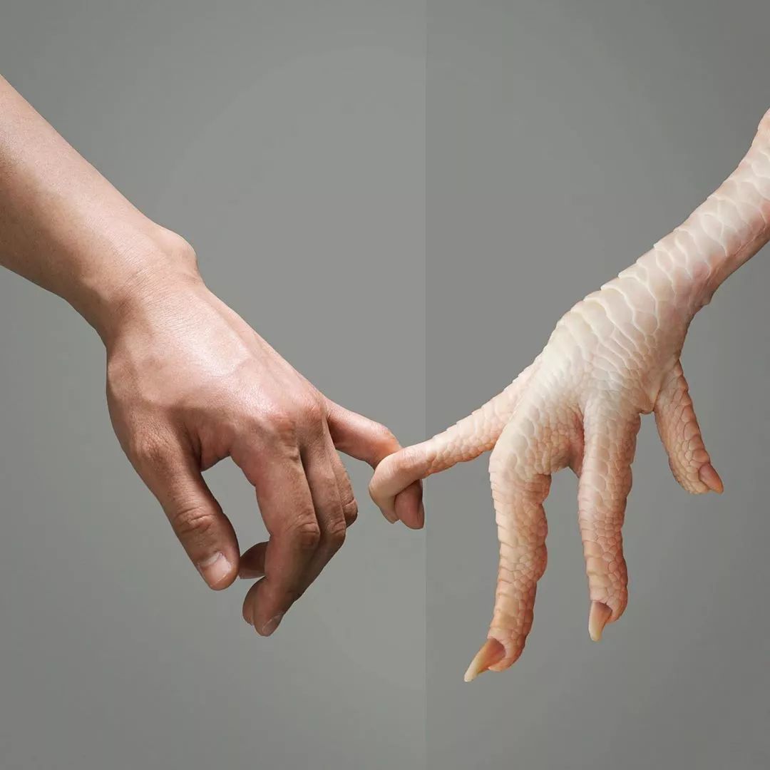 网红摄影师的奇思妙想,竟是如此不一样!