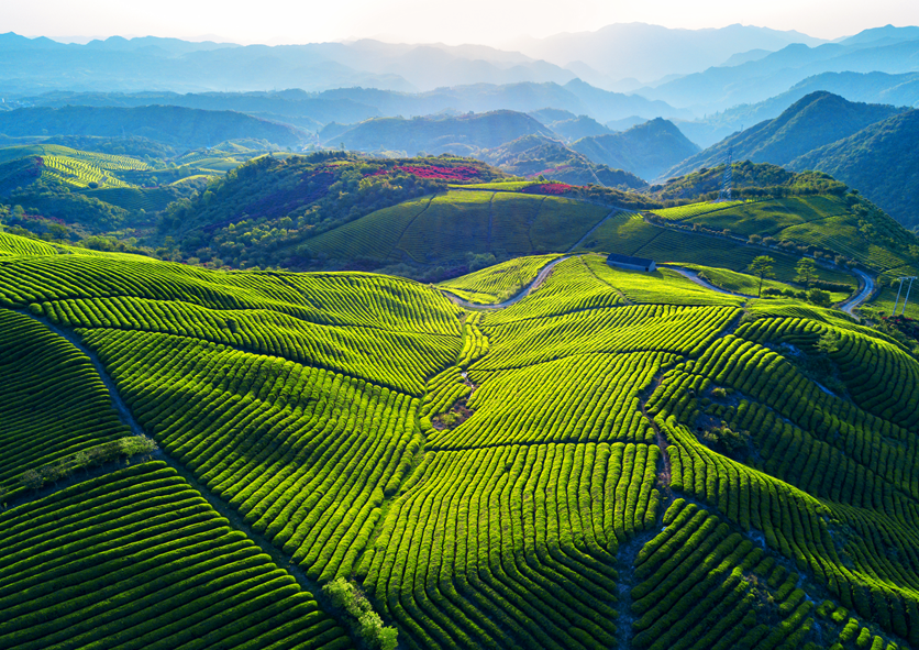 【江南无量山】4.