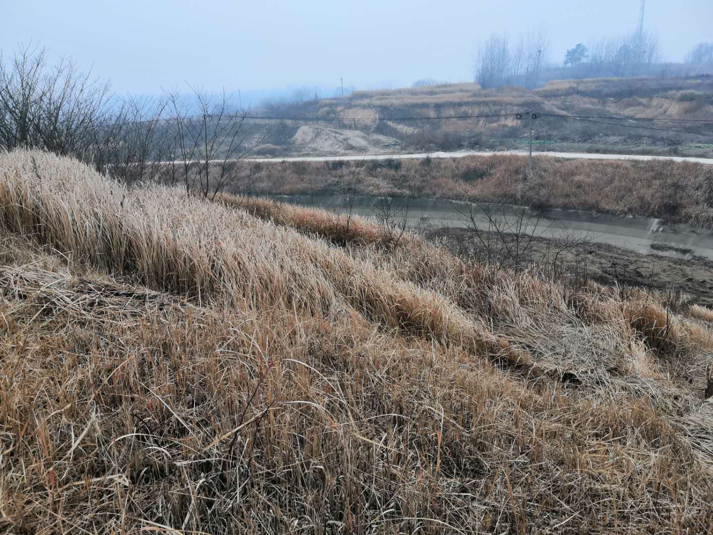 1月初,罗自金被埋尸的现场,杂草已经枯死。 文中图片均为澎湃新闻记者明鹊 摄