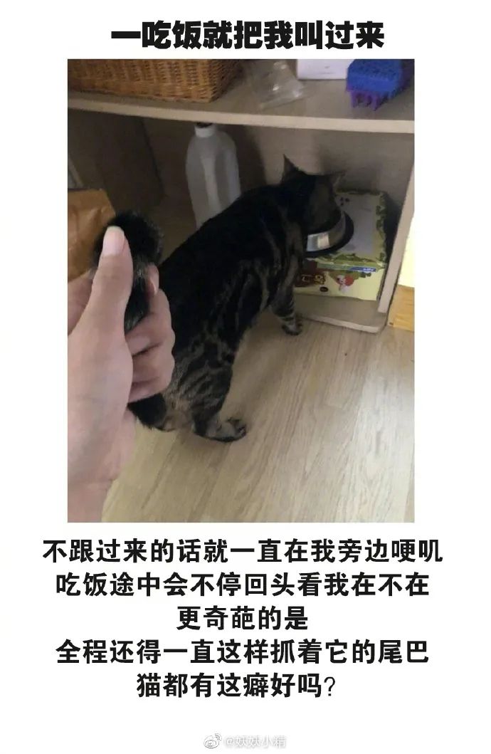 古拙悲凉@花落成蚀cp粉的能耐@李格浪如何正确的向你的女孩发送魅力