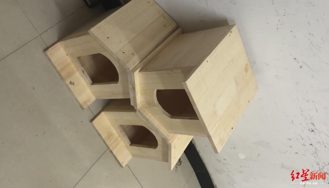 红星新闻网传北京一小区“鸟因拉屎被毁巢”！居民称传言夸大，园林局已展开调查