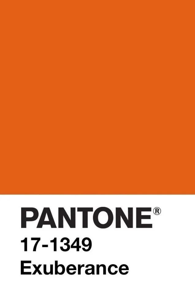 橘色|纽约时装周_新浪新闻