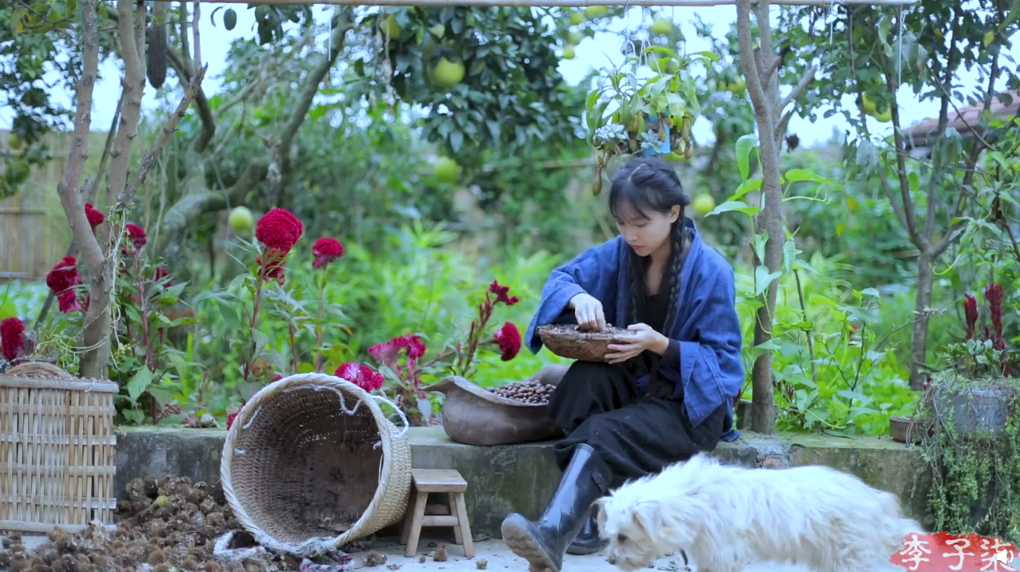 李子柒的小院真美