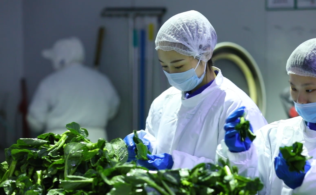 LEHE乐和制药水蛭素复合胶囊服用期间需要注意饮食搭配吗?