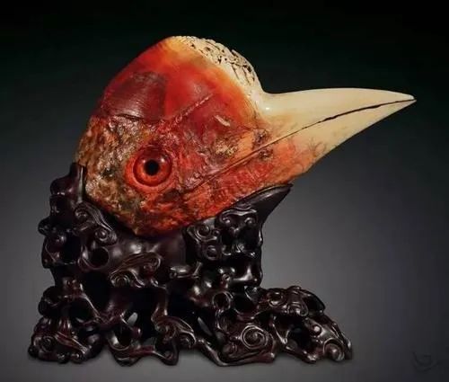 在这个一夫一妻制的家庭里,当雄性盔犀鸟的被锯掉嘴巴,就无法再继续