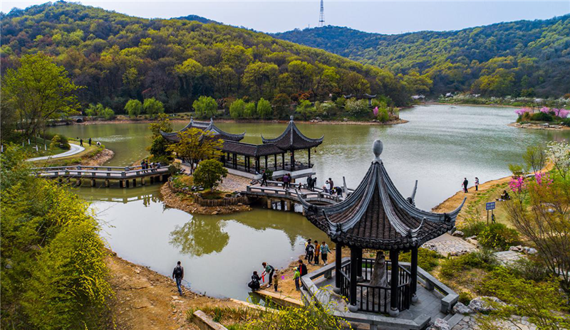 在家看天下·每日一景丨镇江南山春色醉人