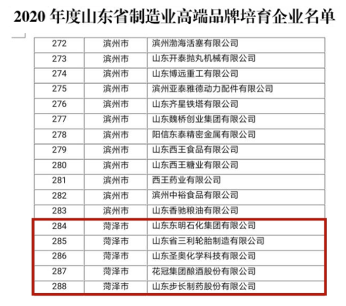 三利轮胎入选“2020年度山东省制造业高端品牌培育企业名单”
