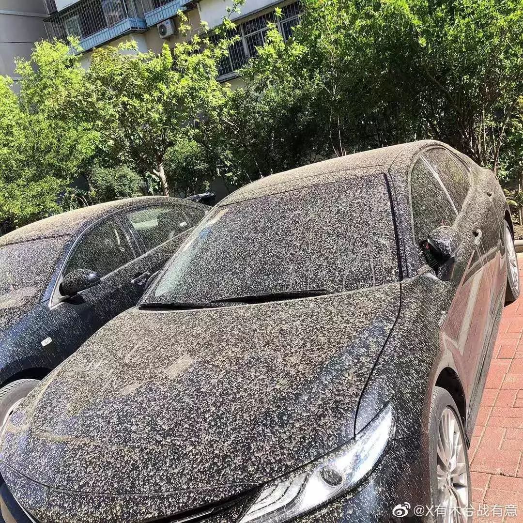 下雨,下雪,下冰雹,天津:我,下泥!