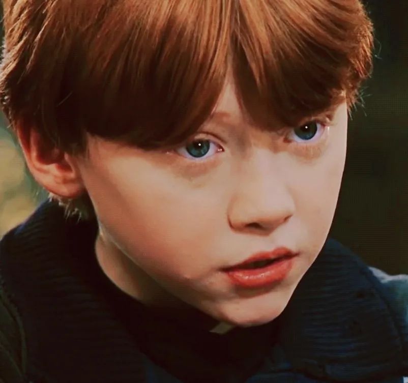 吃鸡腿的罗恩当爸爸了妈妈不是赫敏