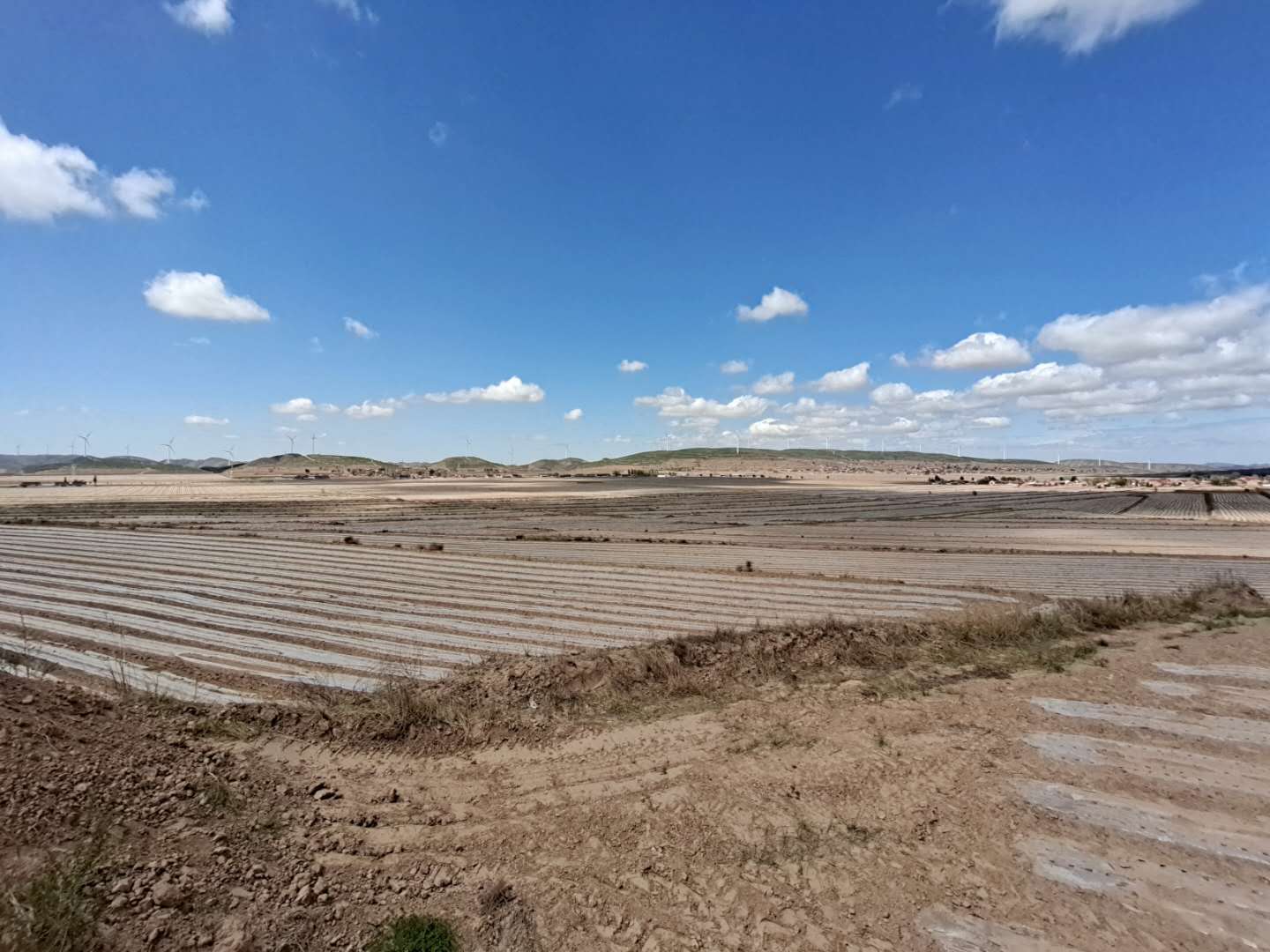 宁夏海原:科技创新引领小杂粮产业转型升级