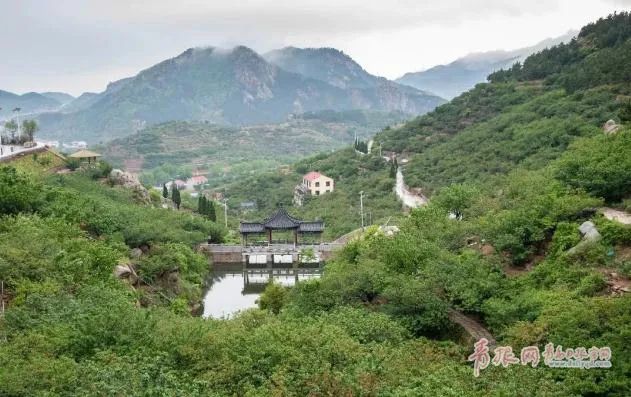 青岛这里的万亩樱桃开吃,错过再等一年…附最新采摘攻略