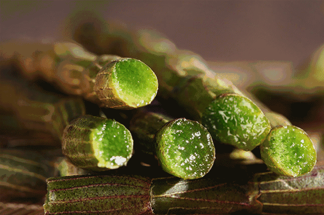 640_426gif 动态图 动图