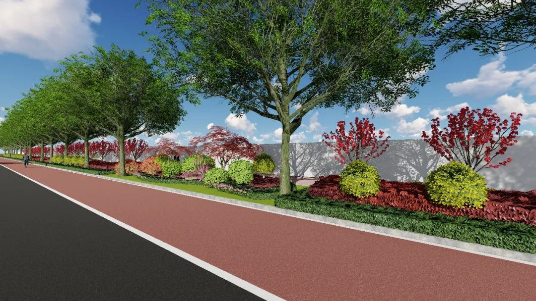 不可近赏"的城市绿地,分车带及两侧绿化带较宽,面积较大,植物配置多以