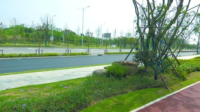 鄂州一文化旅游景观大道即将建成通车
