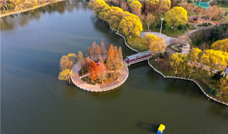 在家看天下·每日一景丨淮安楚秀园:蓝天共碧水 绿树映红花