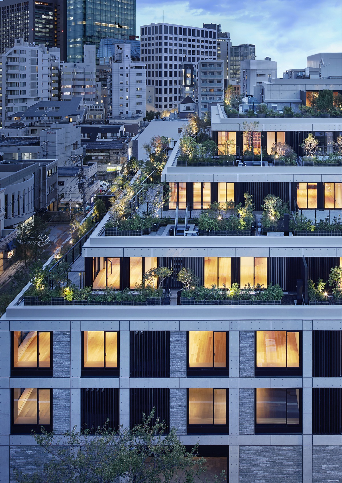 挺拔的青松——北青山混凝土退台公寓 / conran and partners