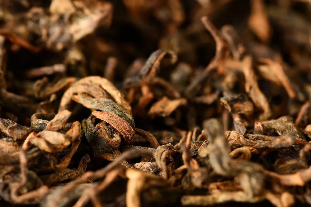 耗时6年研发用松茸菌发酵的普洱茶鲜美甜润营养丰富檀生活