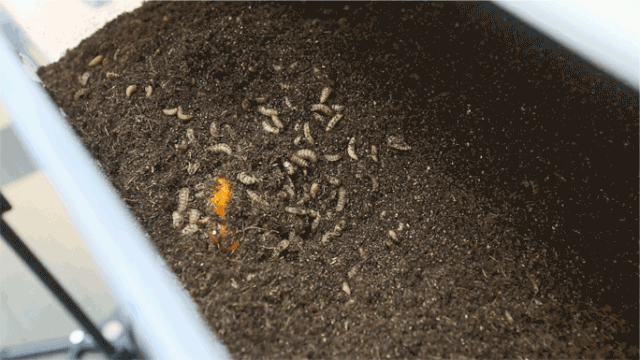 640_360gif 动态图 动图