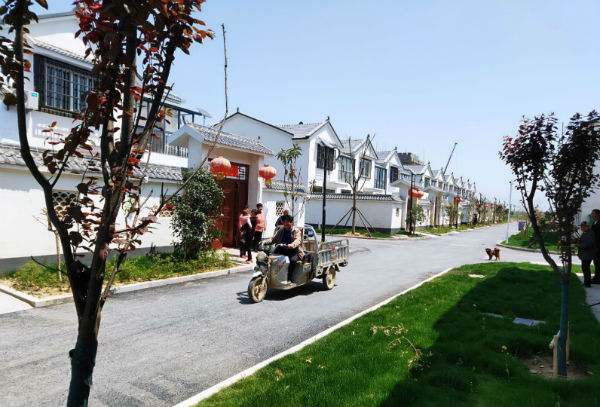 乡镇书记话农房改善丨江苏沭阳周集乡:让农户住上"四心"房