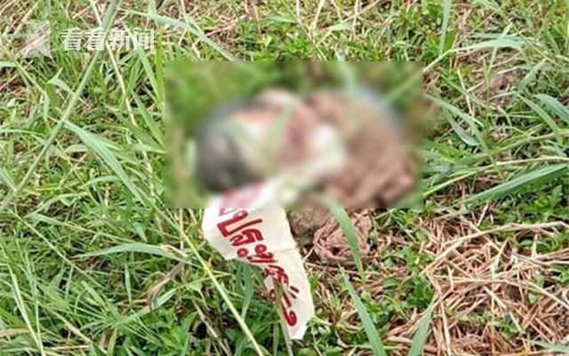 一,现年10岁的男童阿克和小伙伴们在湖边玩耍时,意外发现一具婴儿尸体