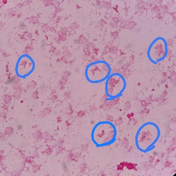新闻搜索_新浪搜索_新浪网