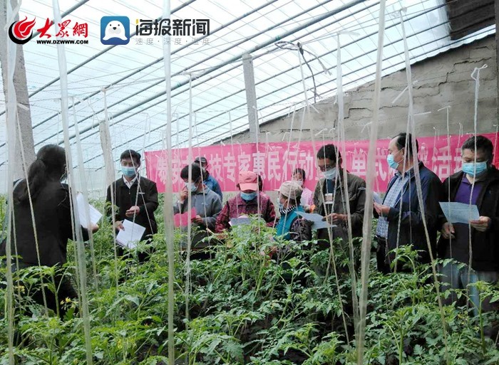 山东泰安：科技专家惠民行动暨订单式科普活动进房村