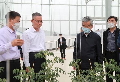 山东省政府调研组来潍坊市寿光调研