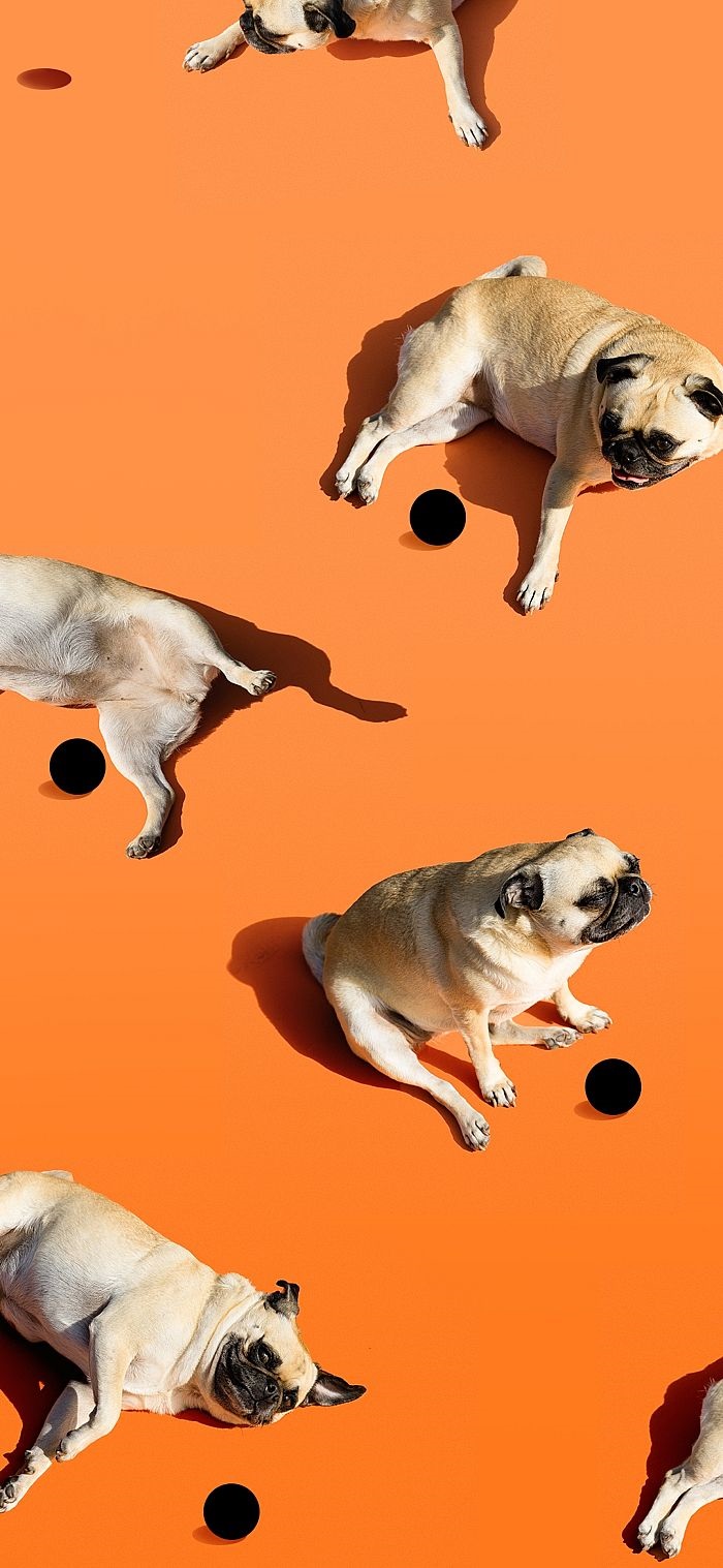 一切为了隐藏打孔前摄谷歌pixel4a原生壁纸曝光