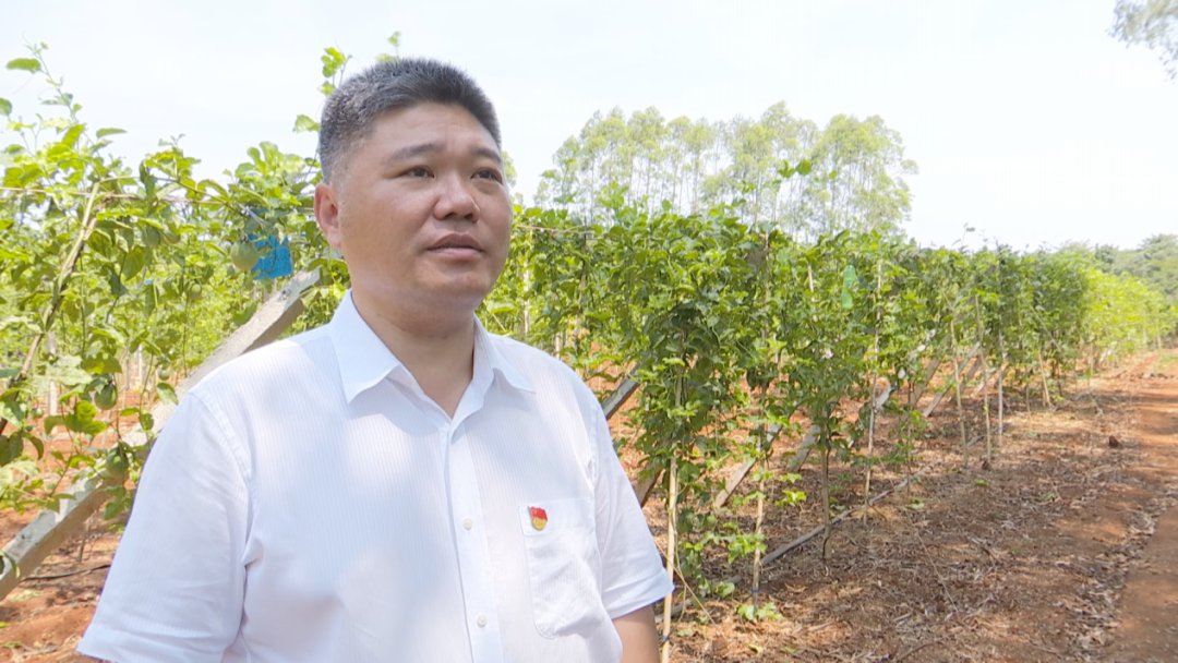 临高多贤村:帮扶干部自筹资金 多贤村变"多钱"村!今晚19:25分敬请关注