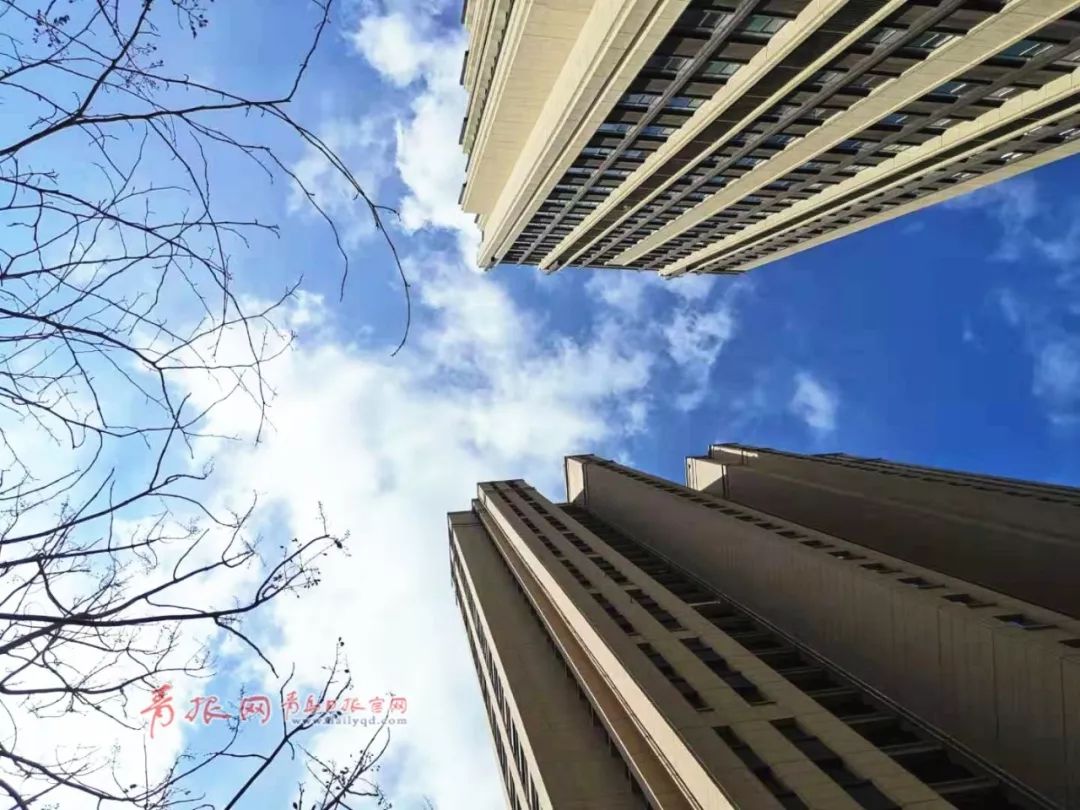 业主速看,青岛物业管理条例征求意见,事关物业费、物业服务…