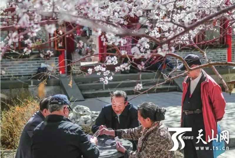 乌鲁木齐推广日间照料+居家养老模式！每个片区今年至少建一所照料中心