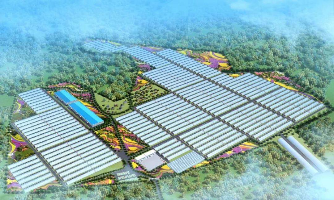 东胜又签下一个亿元大项目|农业科技_新浪新闻