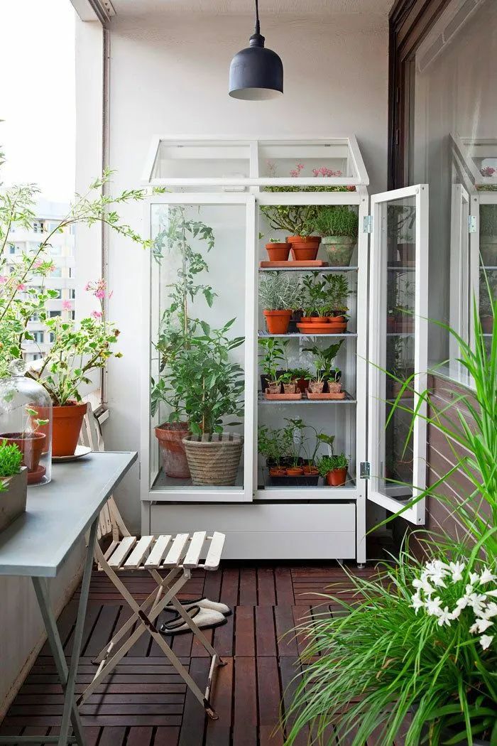 阳台变身小花园,这里有妙招