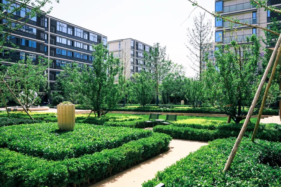 绿城西山燕庐&西府海棠城市展厅开放,深耕新首钢生活圈