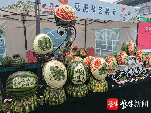 又到瓜熟时2020年瓜儿熟了东台西瓜节启幕