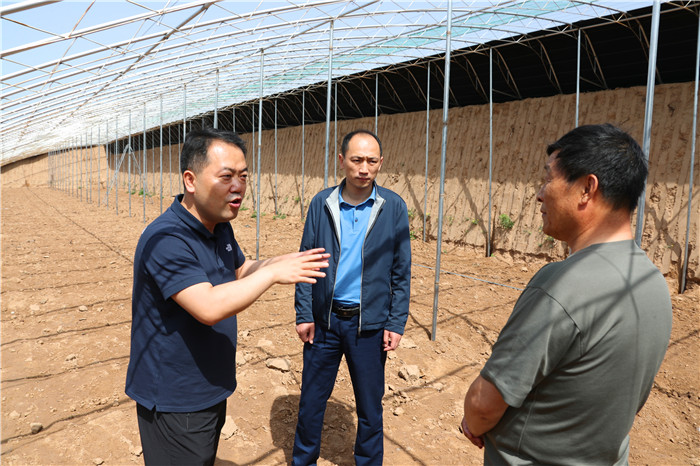 大荔:段洪涛调研东城街道扶贫产业园并召开调度会