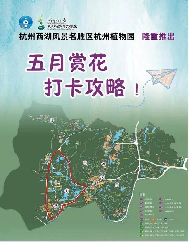昼开夜合,杭州植物园100多种睡莲进入盛花期