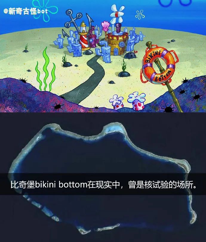 探索海绵宝宝不为人知的秘密奇怪的知识增加了