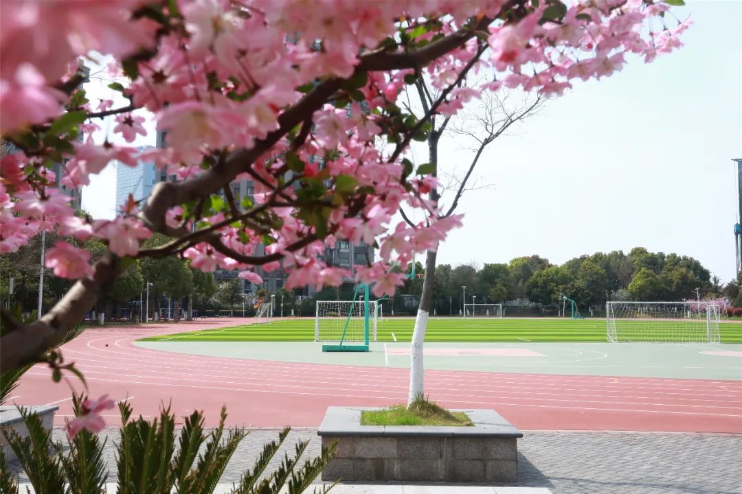 favorite school今天,一起走進南京市金陵匯文學校中學部.