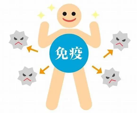 【全民营养周】合理膳食,免疫基石