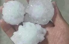 一颗像四喜丸子那么大!山东多地遭遇冰雹,一些果园基本绝收