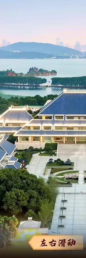 华夏|央视新闻|紫金山麓_新浪新闻