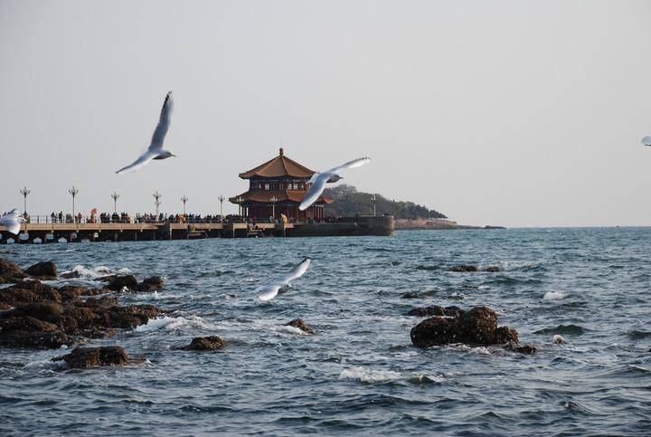 蝶恋花.滨城迎春|南园|诗词_新浪新闻