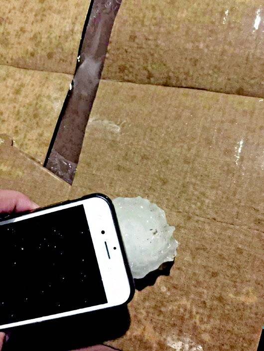一颗像四喜丸子那么大!山东多地遭遇冰雹,一些果园基本绝收